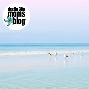 seagulls in grayton beach