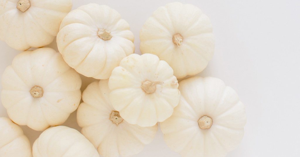 October favorites _ white pumpkins