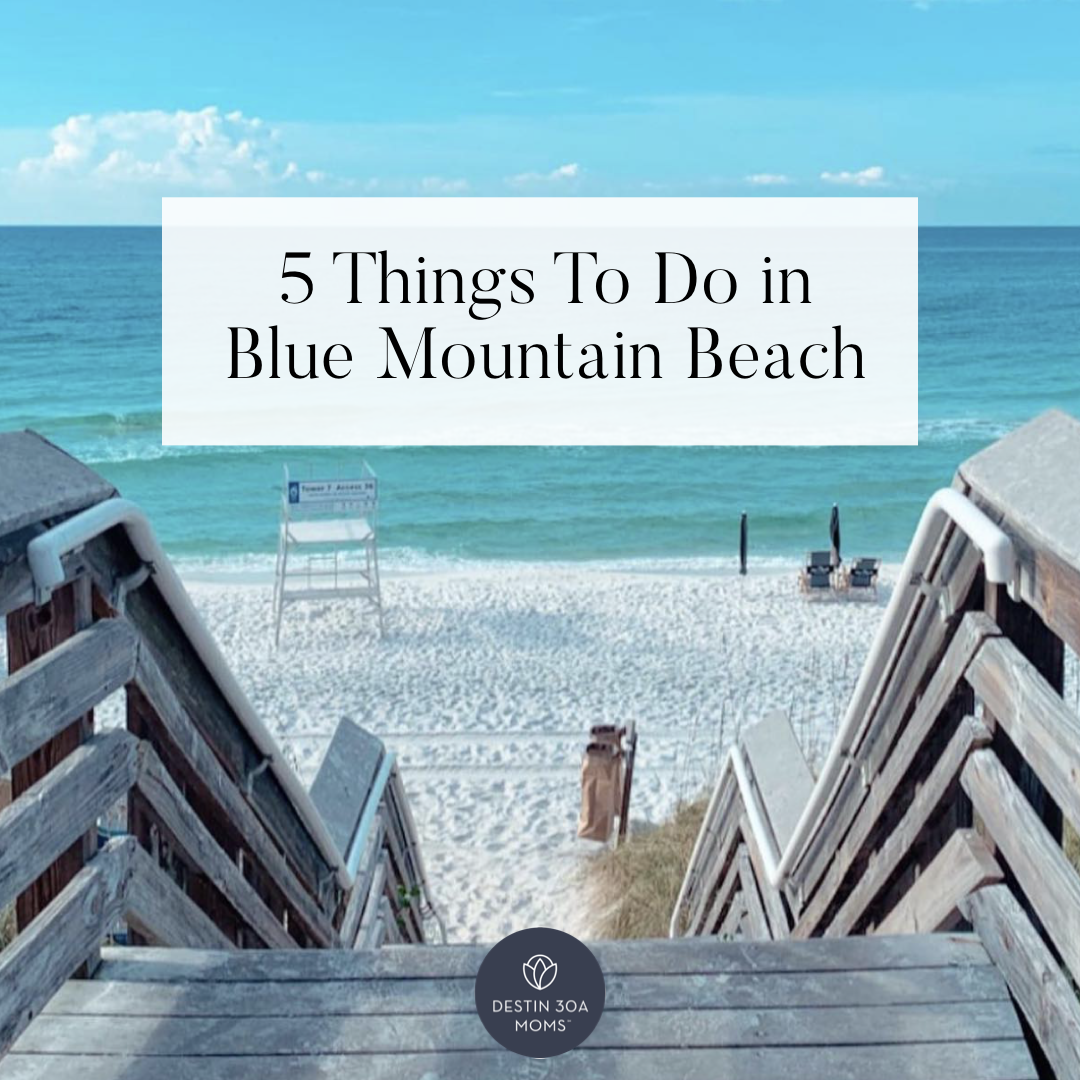 5 things to do in blue mountain beach