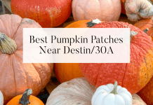destin 30a pumpkin patches