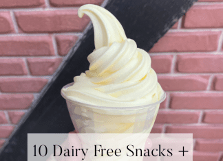 destin 30a moms dairy free snacks disney world